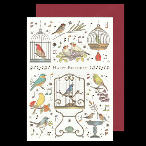 Gift Box of 10 Little Birds Singing Greeting Cards~10 SONGBIRDS  Notecards~Friends~Musical Birds Cards Notes~Fantasy Birds Gift