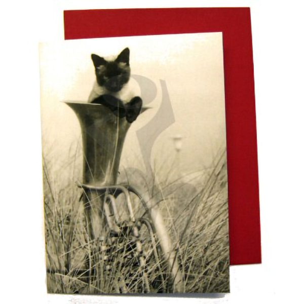 Siamese Cat and Tuba Card