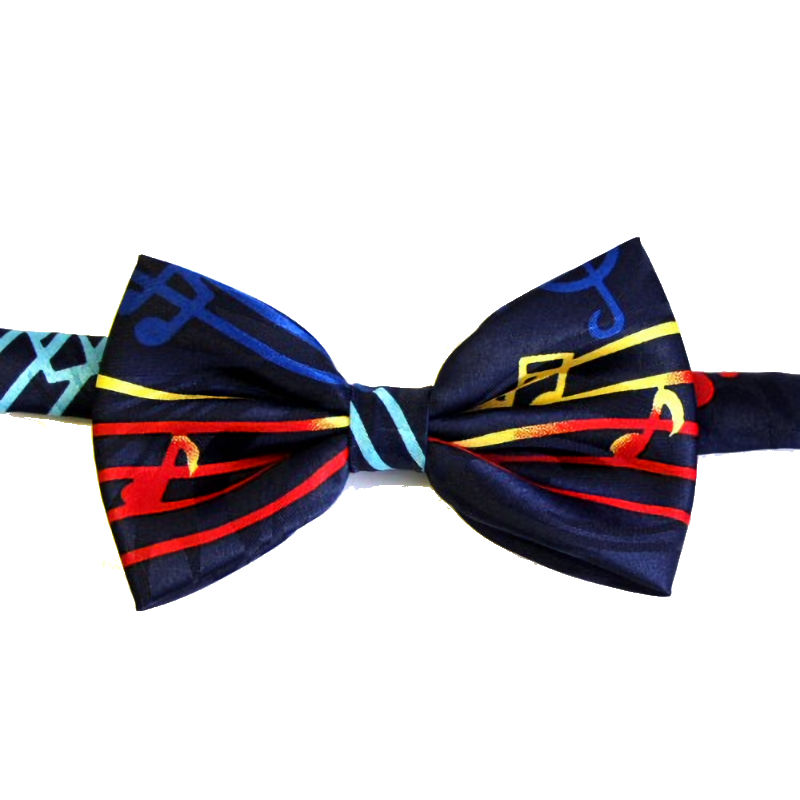 Multi Coloured Stave Bow Tie
